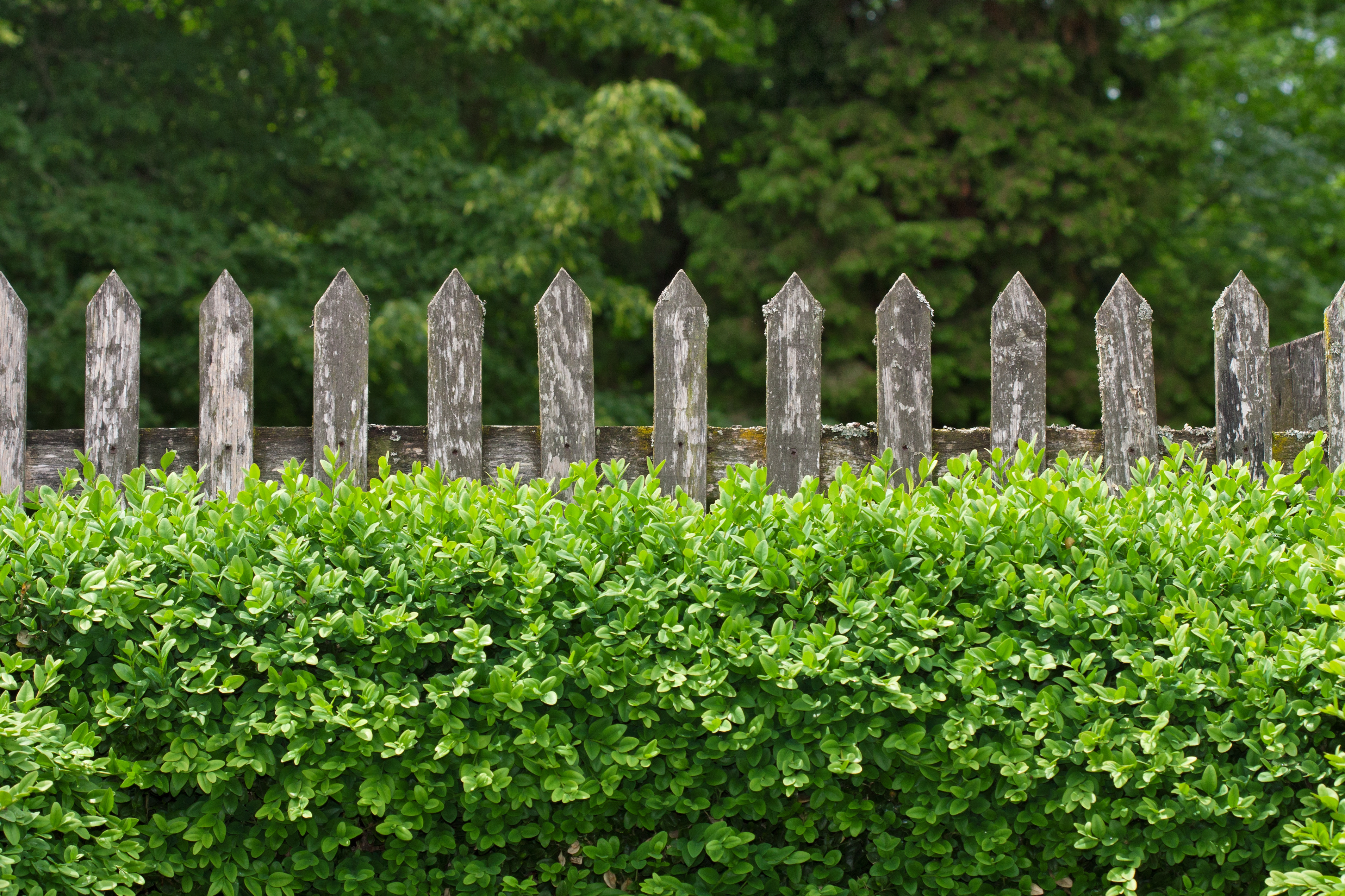 Nachbarschaftshilfen